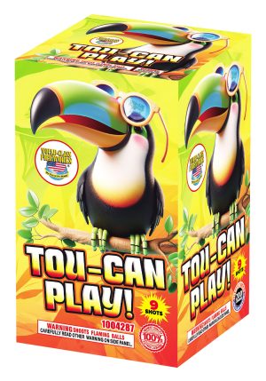 Tou Can Play | 9 Shot Cake