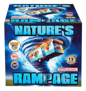 Natures Rampage | 12 Shot Cake