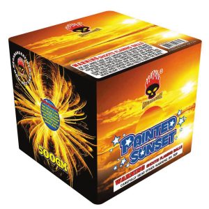 Painted Sunset | 16 Shot Cake