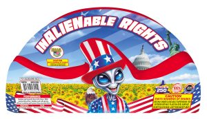 Inalienable Rights | 55 Second Fountain