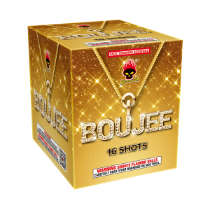Boujee | 16 Shot Cake